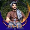 hamedzarifi